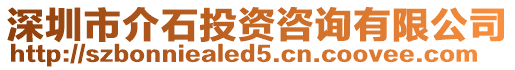 深圳市介石投資咨詢有限公司