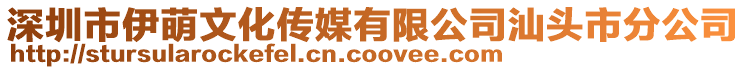 深圳市伊萌文化传媒有限公司汕头市分公司