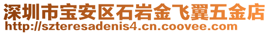 深圳市寶安區(qū)石巖金飛翼五金店
