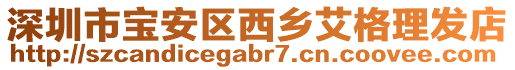 深圳市寶安區西鄉艾格理發店