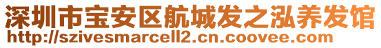 深圳市宝安区航城发之泓养发馆