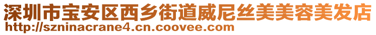 深圳市寶安區西鄉街道威尼絲美美容美發店