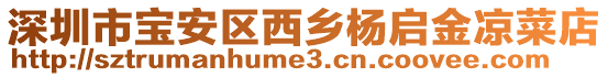 深圳市寶安區西鄉楊啟金涼菜店