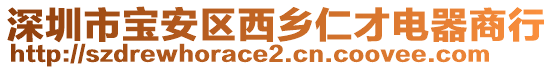 深圳市寶安區(qū)西鄉(xiāng)仁才電器商行