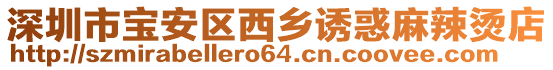 深圳市寶安區西鄉誘惑麻辣燙店