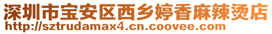 深圳市寶安區(qū)西鄉(xiāng)婷香麻辣燙店
