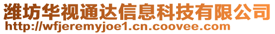 濰坊華視通達信息科技有限公司