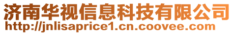 濟(jì)南華視信息科技有限公司