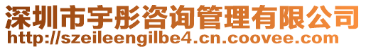 深圳市宇彤咨詢管理有限公司