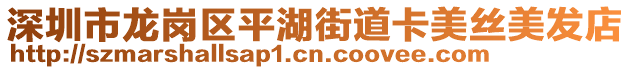 深圳市龍崗區(qū)平湖街道卡美絲美發(fā)店