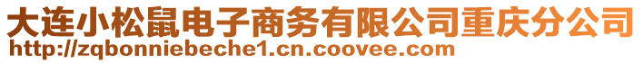 大連小松鼠電子商務(wù)有限公司重慶分公司