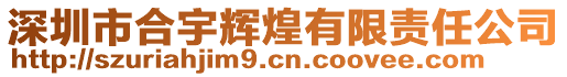 深圳市合宇輝煌有限責任公司