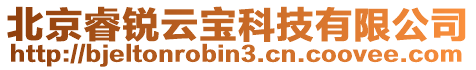 北京睿銳云寶科技有限公司