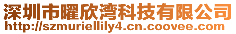 深圳市曜欣灣科技有限公司