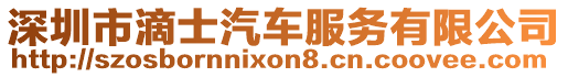 深圳市滴士汽車服務有限公司