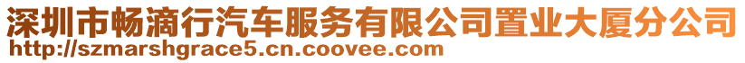 深圳市暢滴行汽車服務有限公司置業大廈分公司