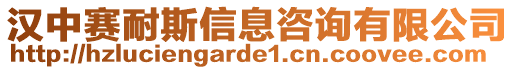 漢中賽耐斯信息咨詢有限公司