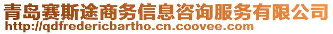 青島賽斯途商務(wù)信息咨詢服務(wù)有限公司