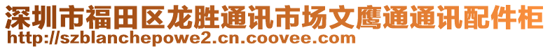 深圳市福田區(qū)龍勝通訊市場文鷹通通訊配件柜