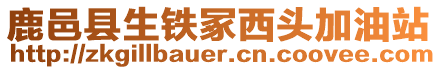 鹿邑縣生鐵冢西頭加油站