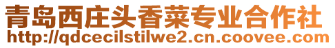 青島西莊頭香菜專業(yè)合作社