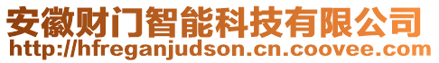 安徽財(cái)門智能科技有限公司