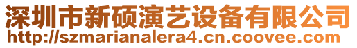 深圳市新碩演藝設備有限公司