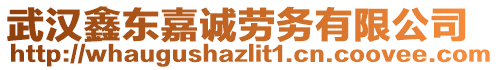 武漢鑫東嘉誠勞務(wù)有限公司