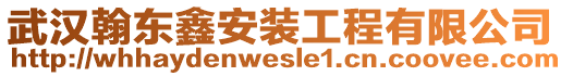 武漢翰東鑫安裝工程有限公司