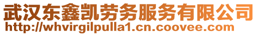 武漢東鑫凱勞務(wù)服務(wù)有限公司