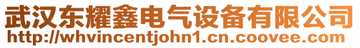 武漢東耀鑫電氣設備有限公司