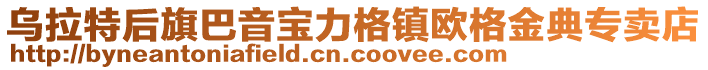 烏拉特后旗巴音寶力格鎮(zhèn)歐格金典專賣店