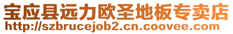 寶應縣遠力歐圣地板專賣店