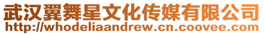 武漢翼舞星文化傳媒有限公司