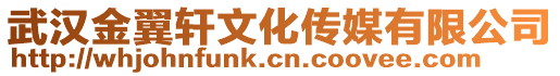 武漢金翼軒文化傳媒有限公司