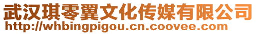 武漢琪零翼文化傳媒有限公司