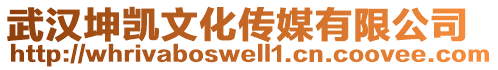 武漢坤凱文化傳媒有限公司