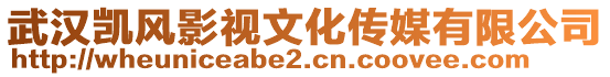 武漢凱風影視文化傳媒有限公司