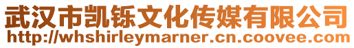 武漢市凱鑠文化傳媒有限公司