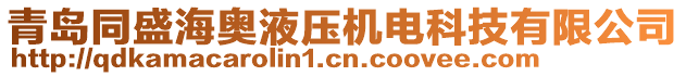 青島同盛海奧液壓機電科技有限公司