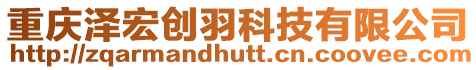 重慶澤宏創(chuàng)羽科技有限公司