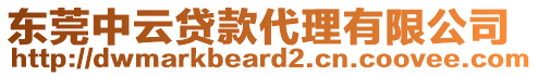 東莞中云貸款代理有限公司