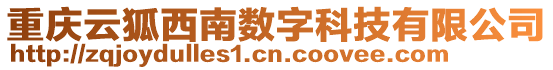 重慶云狐西南數字科技有限公司