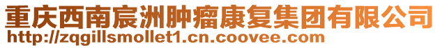 重慶西南宸洲腫瘤康復集團有限公司