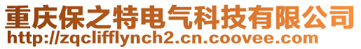 重慶保之特電氣科技有限公司