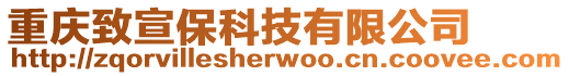 重慶致宣保科技有限公司