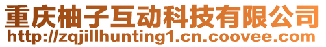 重慶柚子互動(dòng)科技有限公司