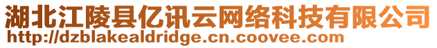 湖北江陵縣億訊云網絡科技有限公司