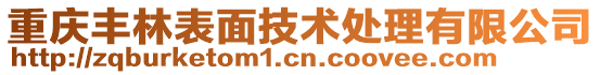 重慶豐林表面技術(shù)處理有限公司