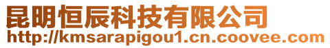 昆明恒辰科技有限公司